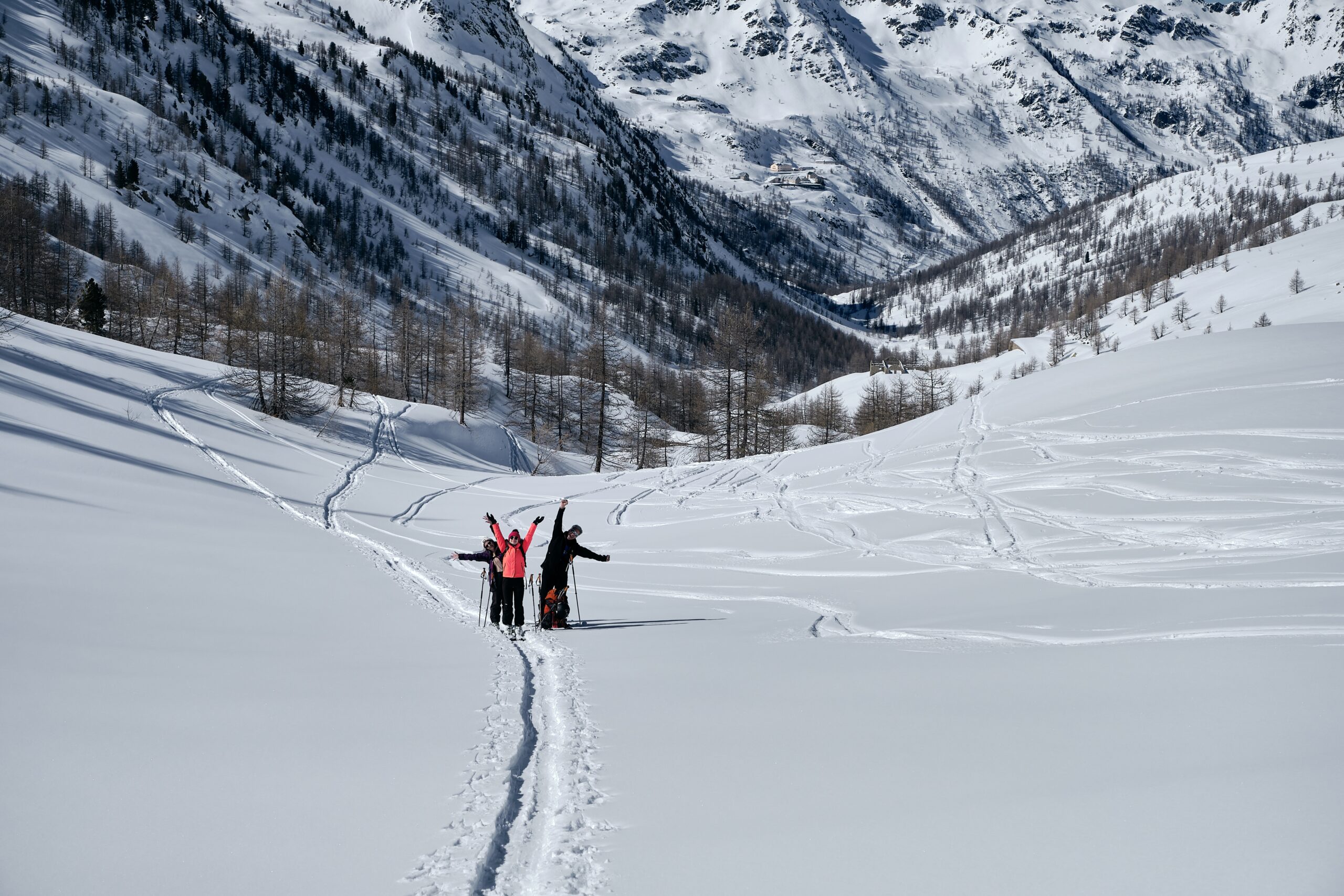 A forested mountain covered in snow and people hiking in Col de la Lombarde - Isola 2000 France